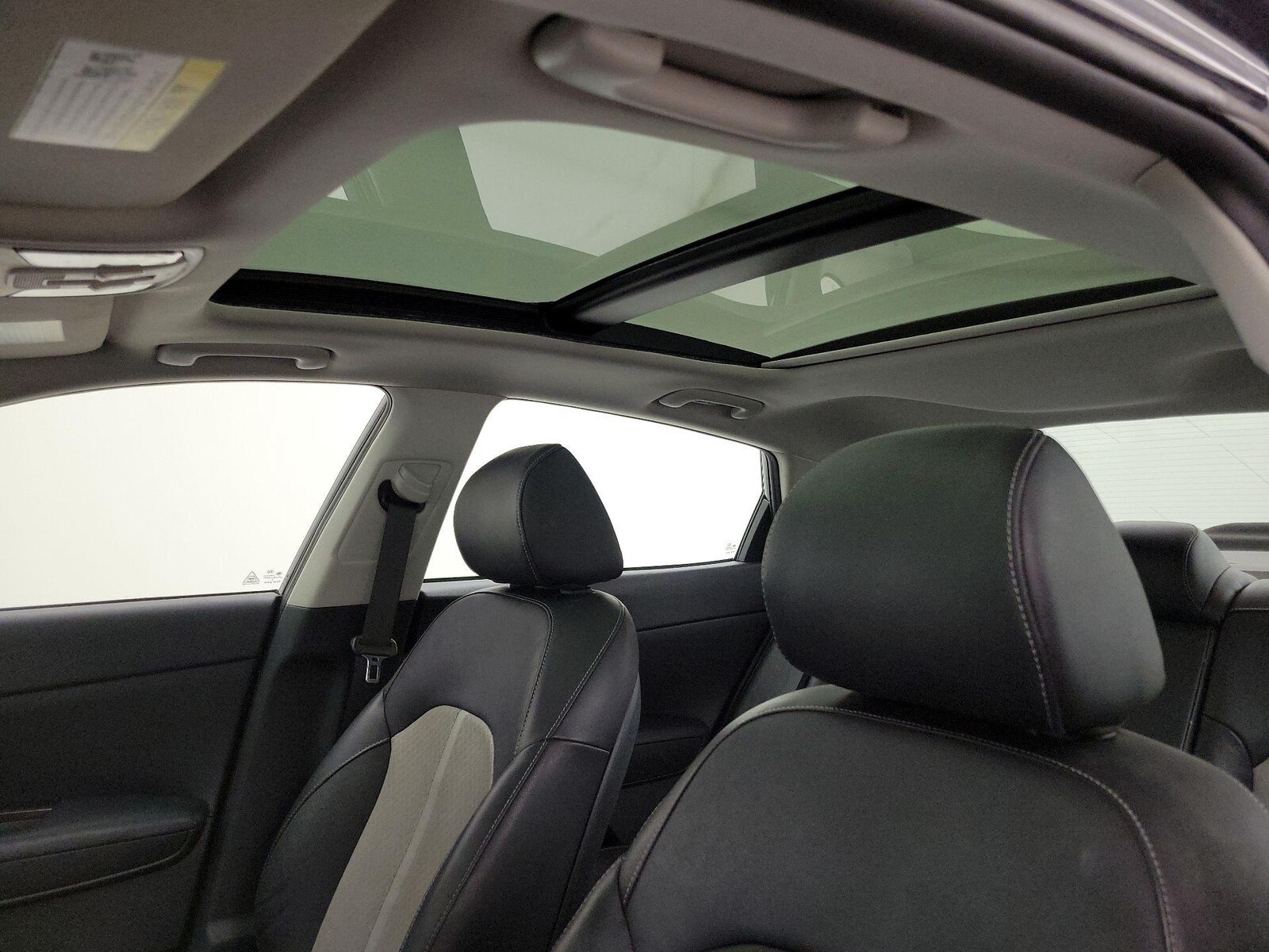 Panoramic Sunroof