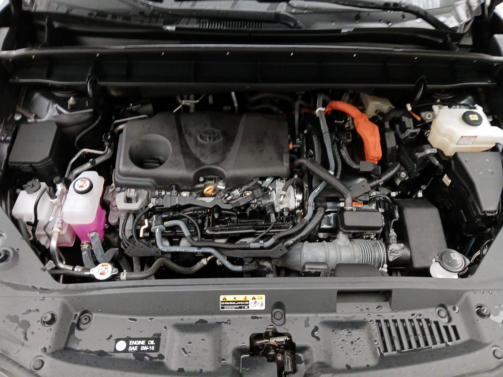 2024 Toyota Highlander XLE - Photo 25