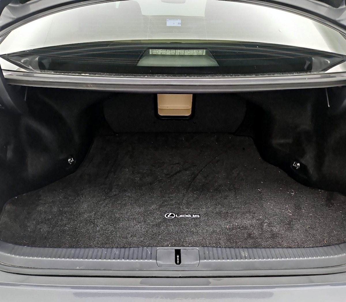 Trunk/Cargo (Seats Up)