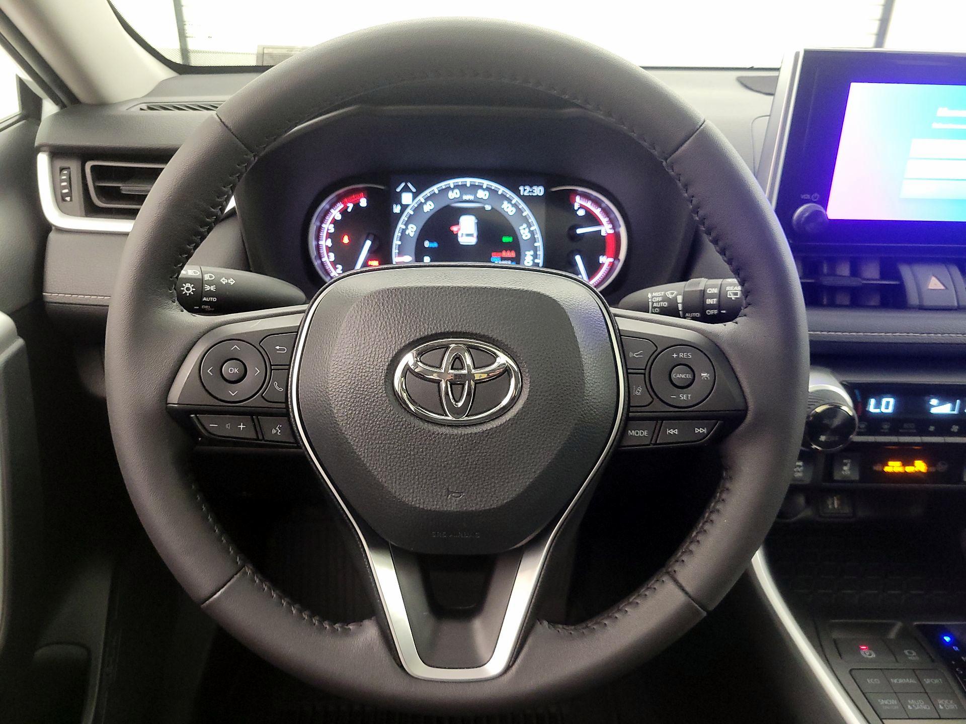 Thumbnail: 2025 Toyota RAV4 - 10