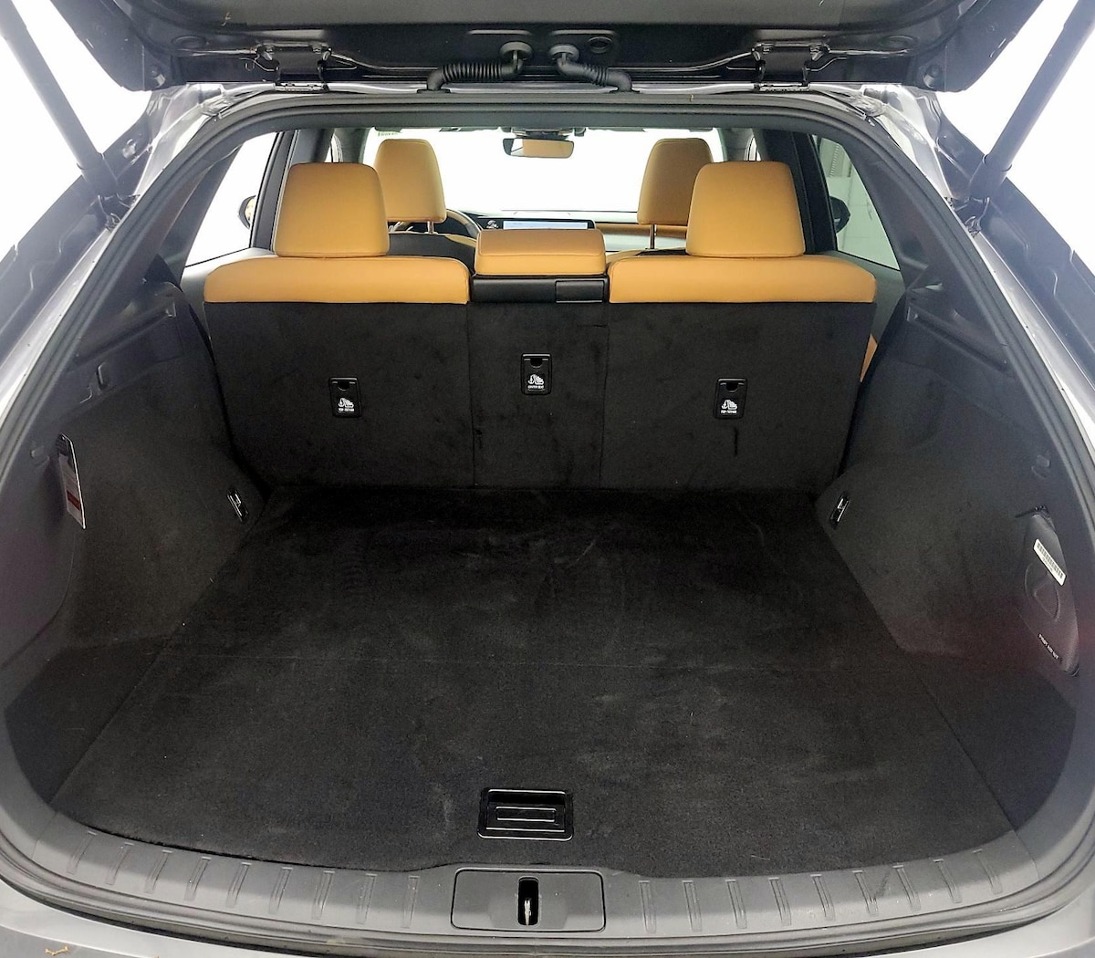 Trunk/Cargo (Seats Up)