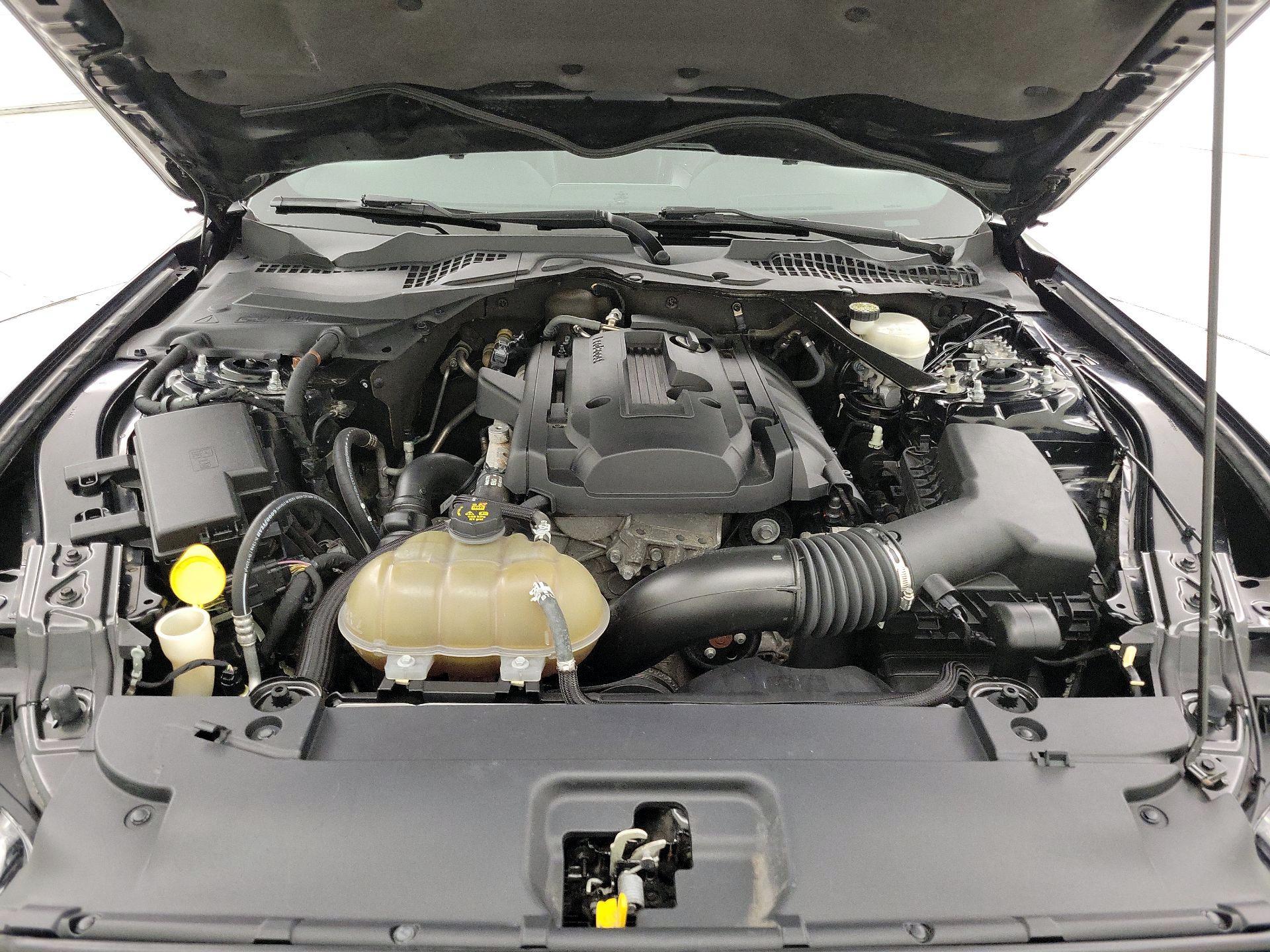 Thumbnail: 2015 Ford Mustang - 20