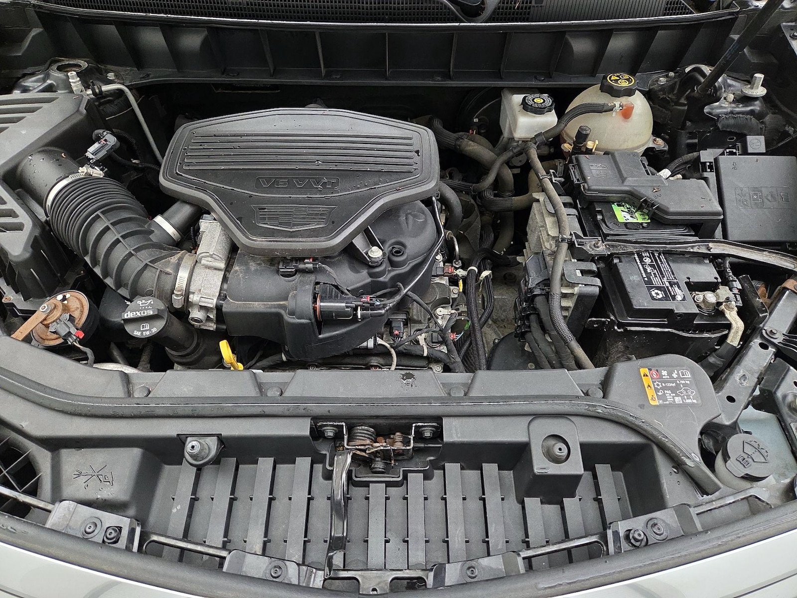 Photo 23