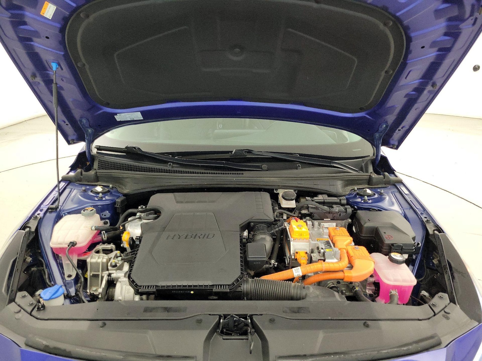 2023 Hyundai Elantra Limited - Photo 23