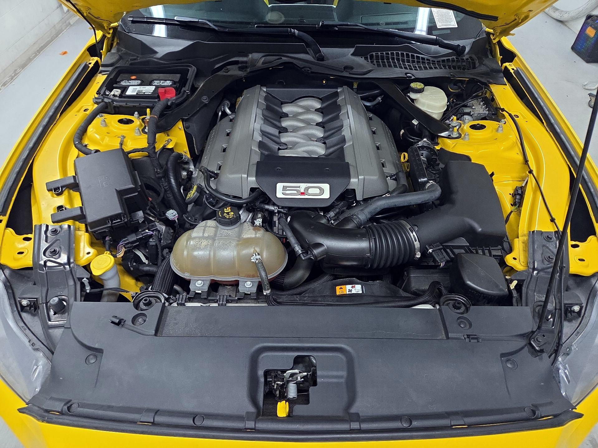 Thumbnail: 2015 Ford Mustang - 19