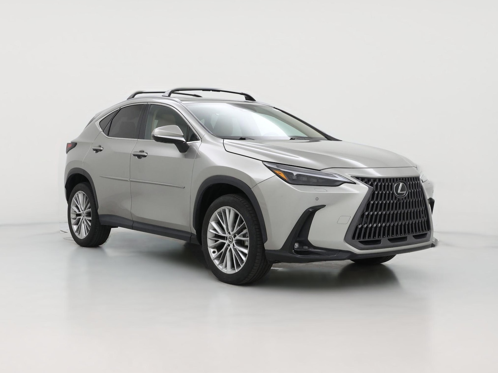 2024 Lexus NX