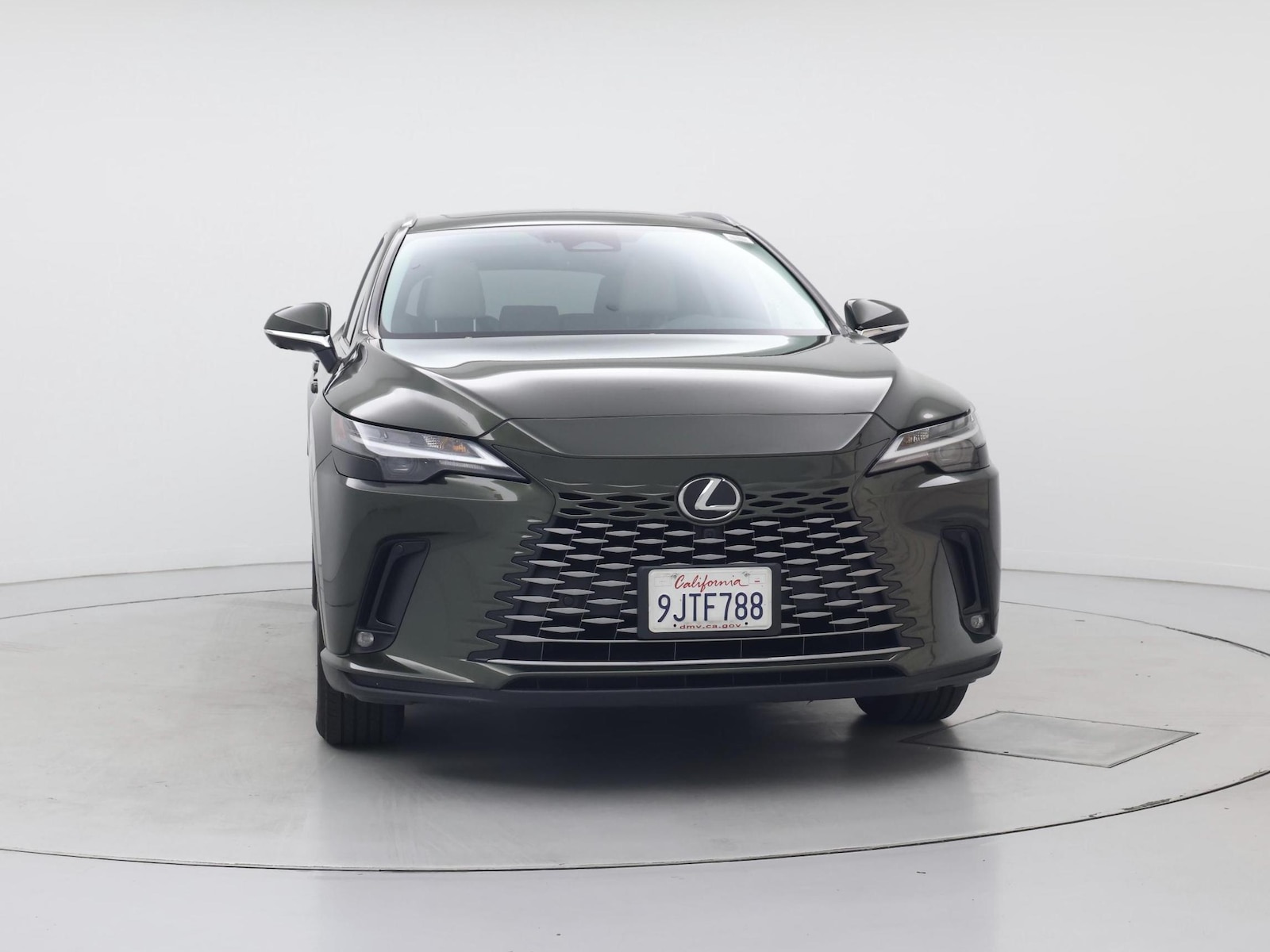 2024 Lexus RX 350 - Photo 6