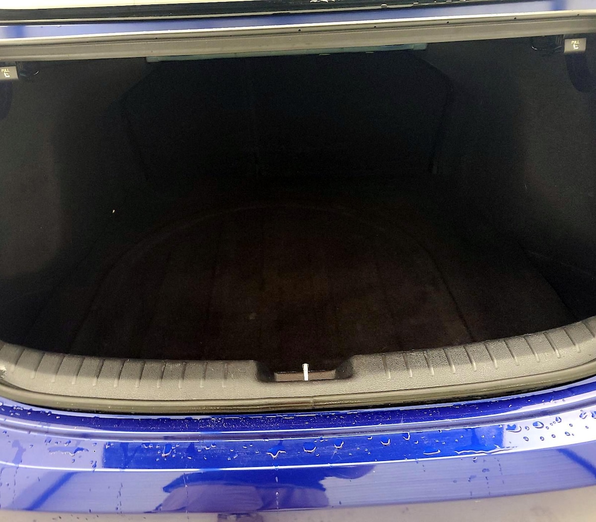 Trunk/Cargo (Seats Up)