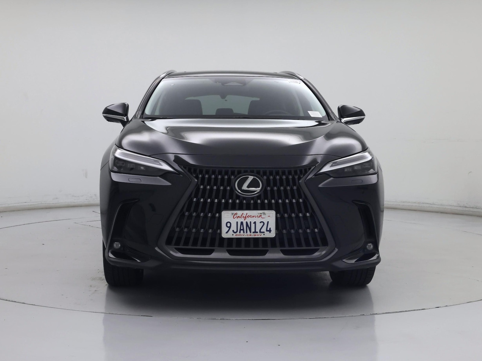 2024 Lexus NX PHEV 450h+ - Photo 6