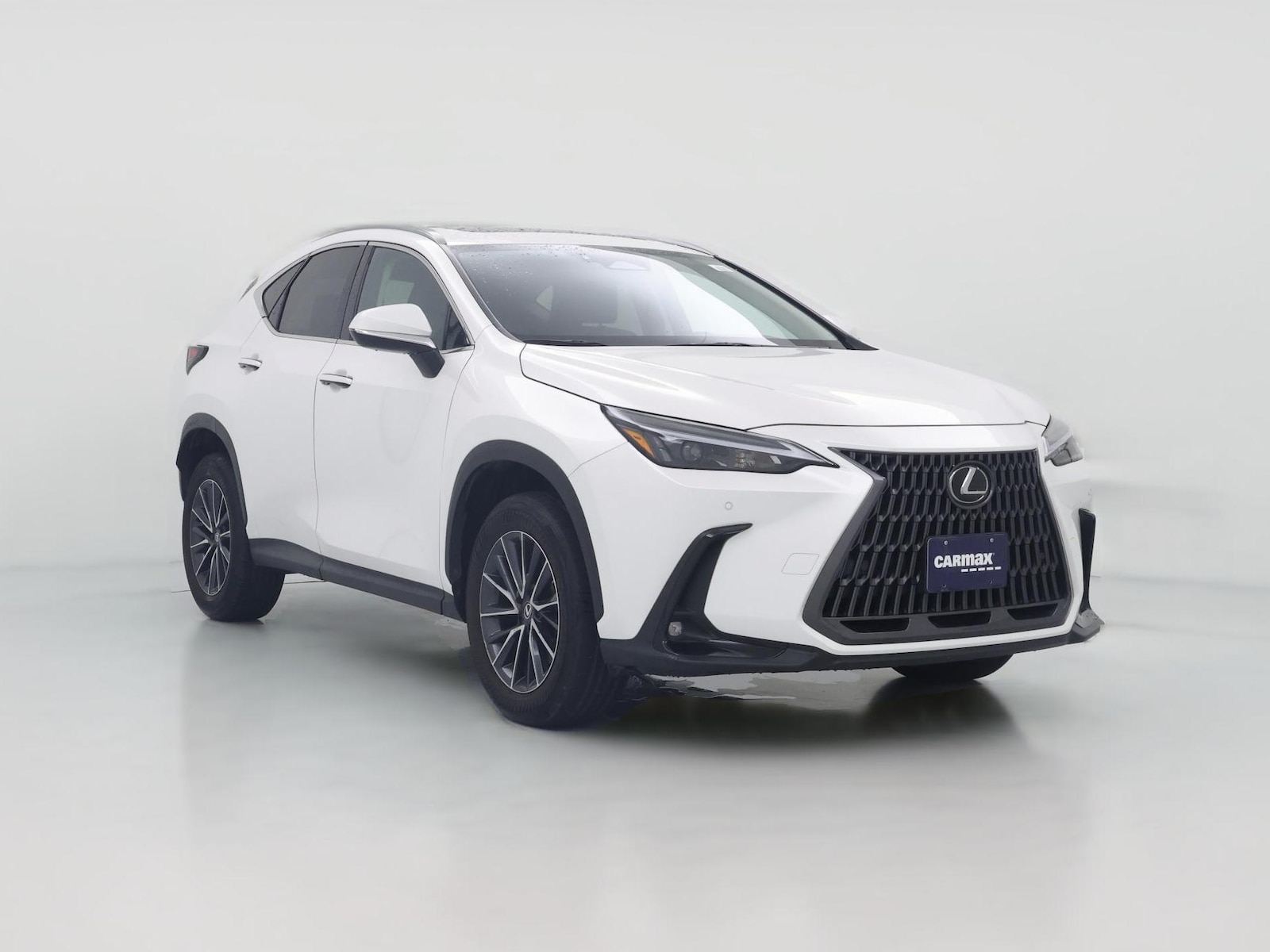 2025 Lexus NX