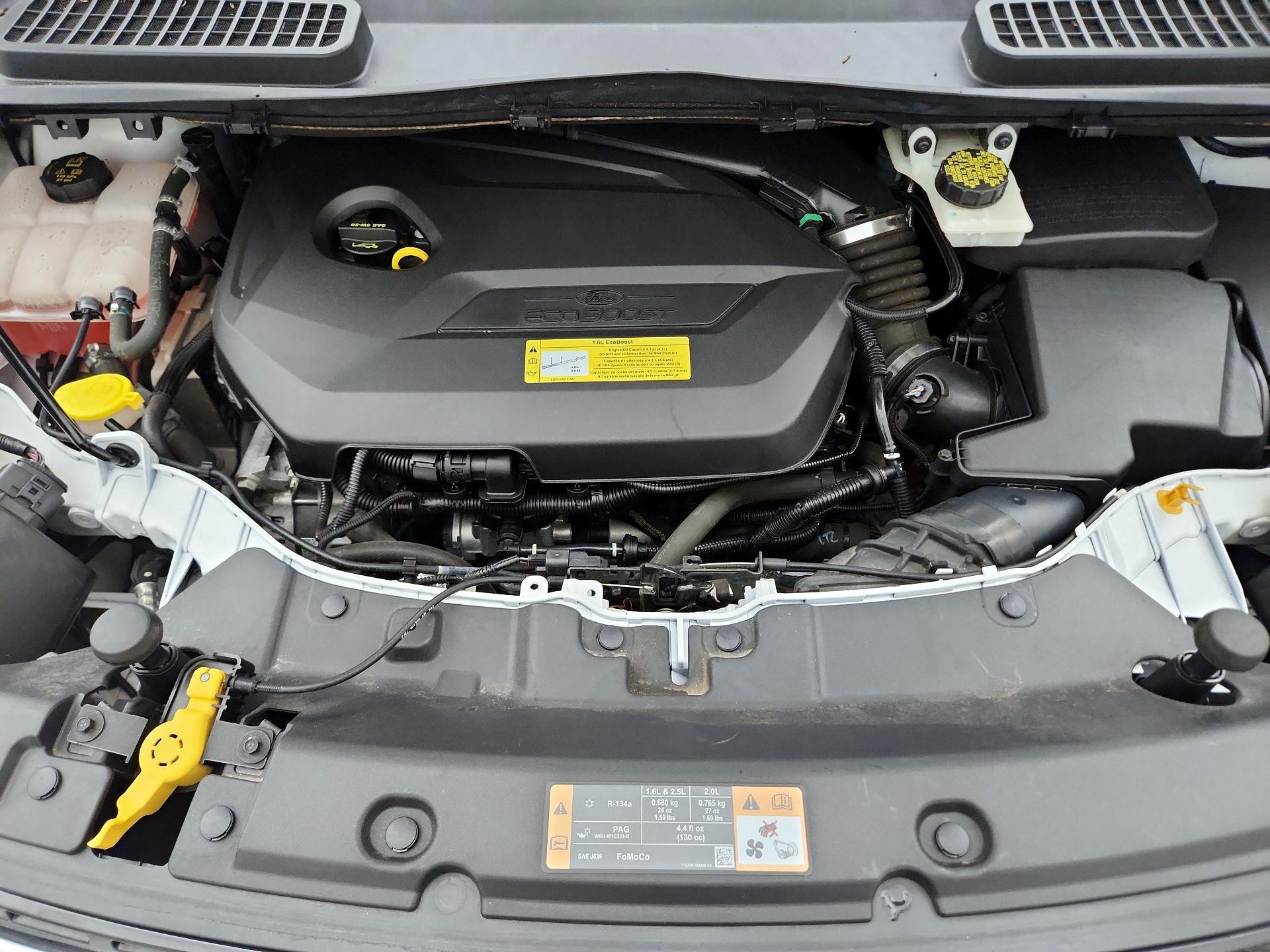 Thumbnail: 2014 Ford Escape - 20