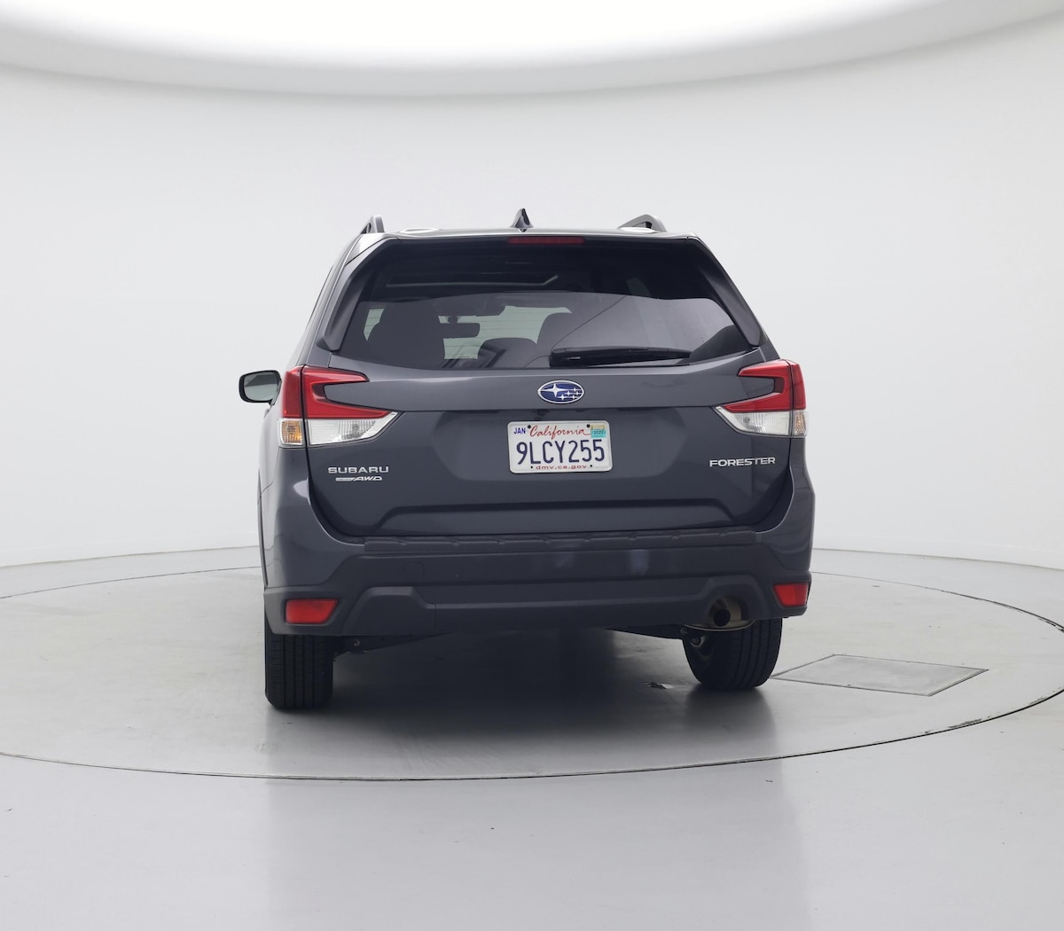 Rear