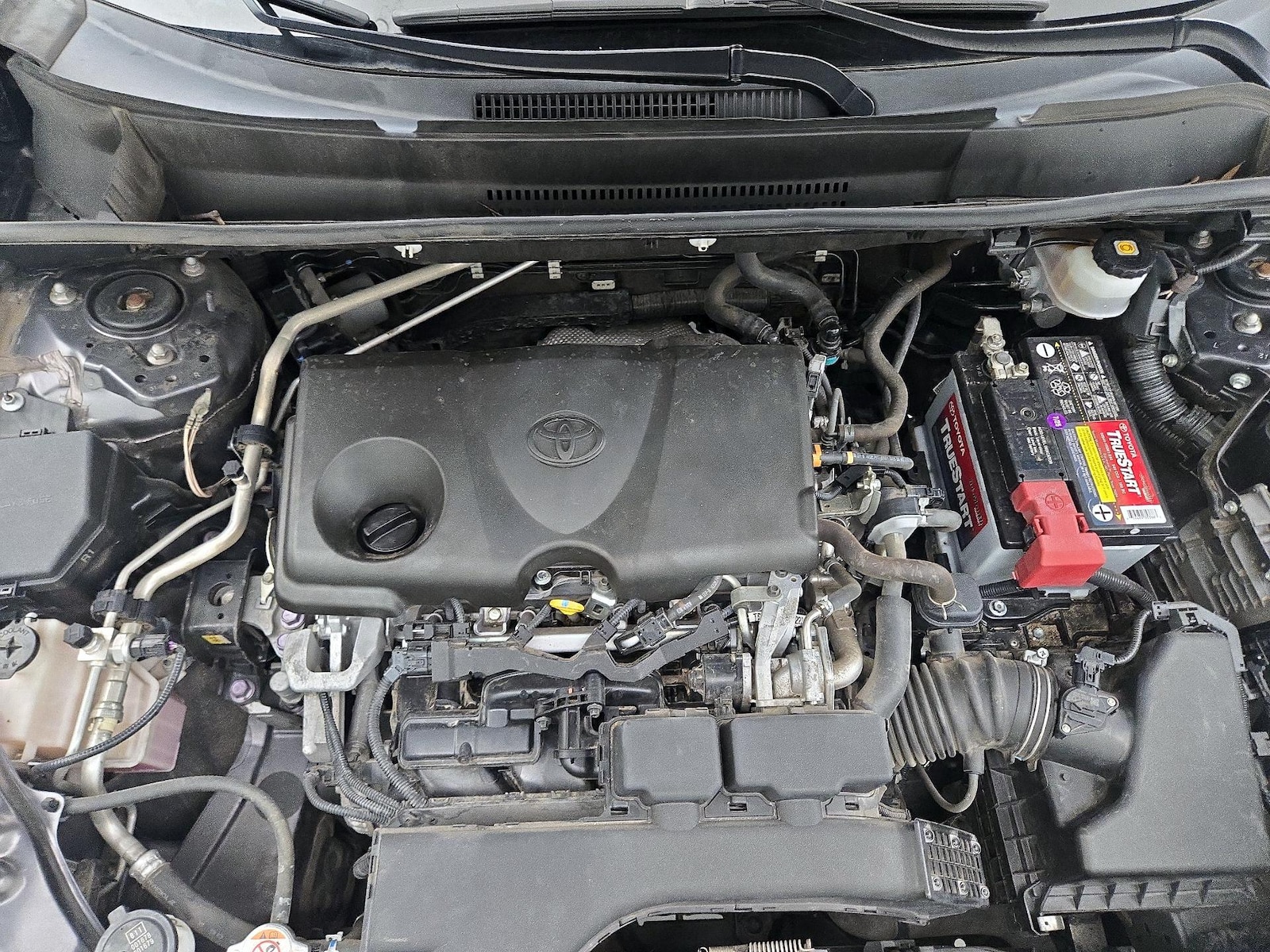 2019 Toyota RAV4 LE - Photo 22