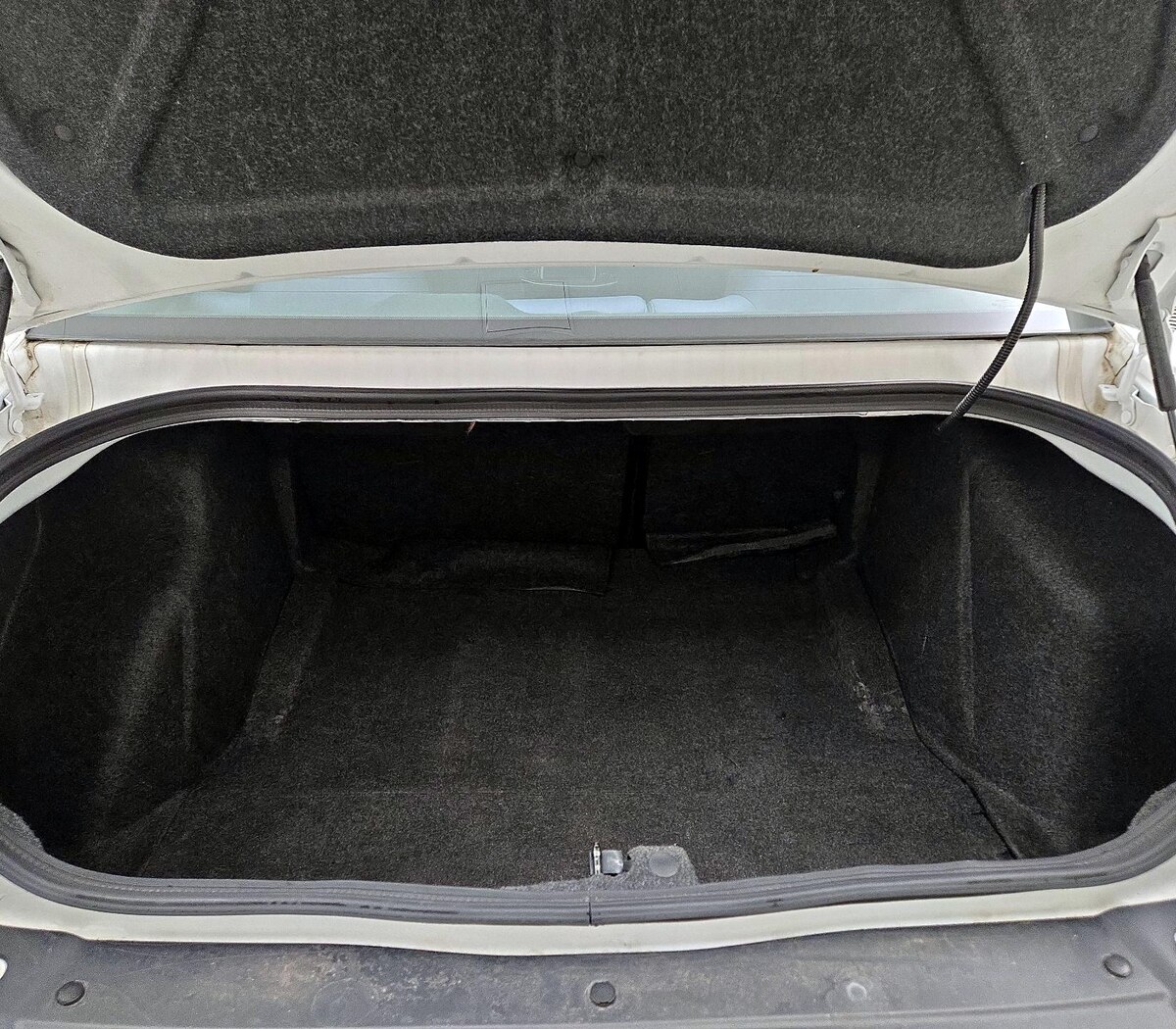 Trunk/Cargo (Seats Up)