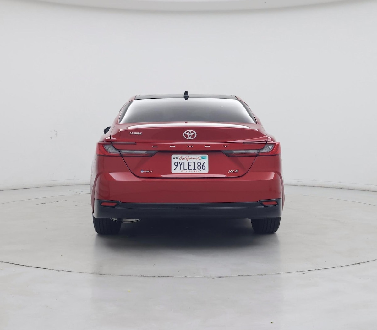 Rear