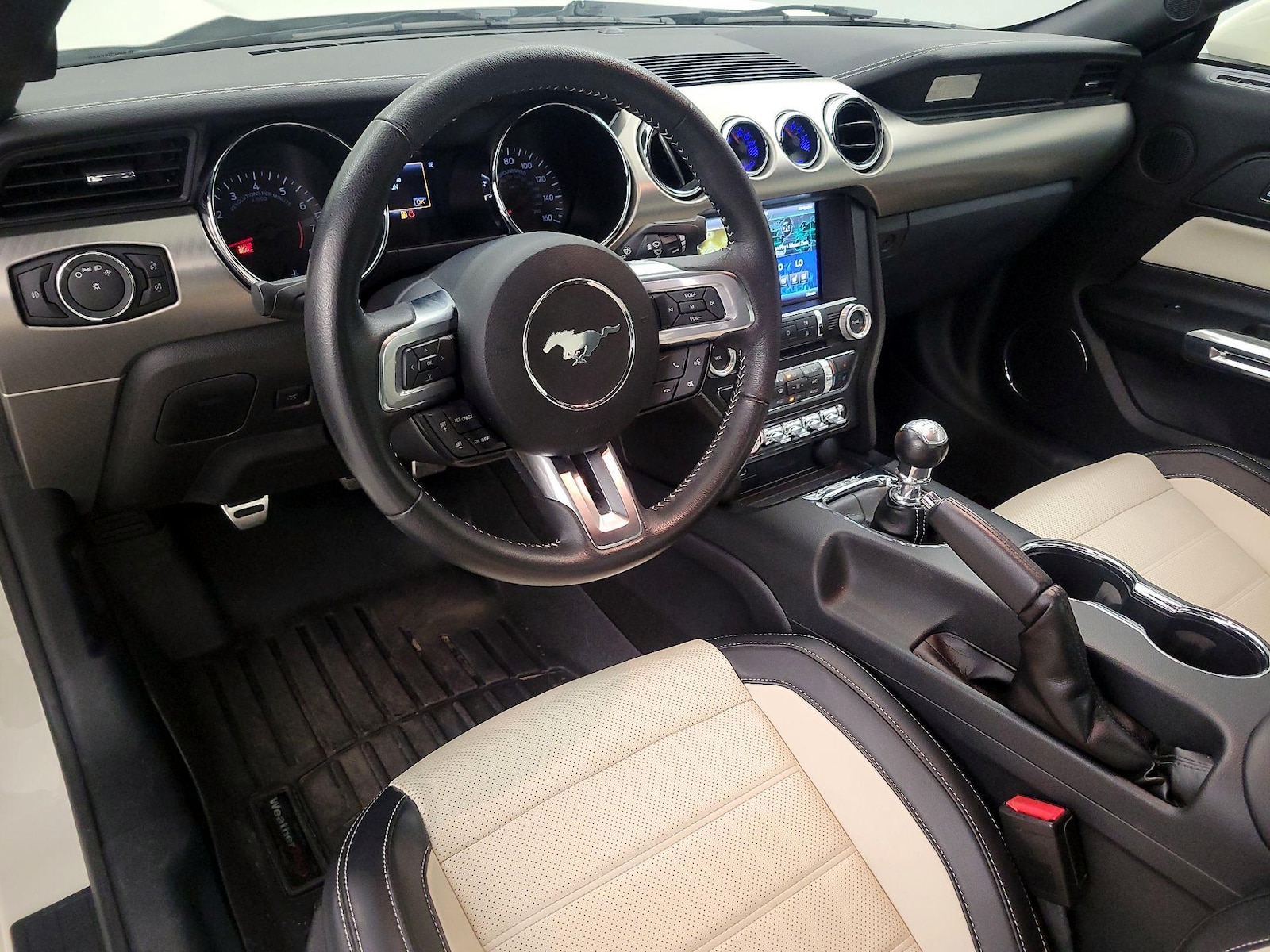 2015 Ford Mustang 50 Years Limited Edition - Photo 10