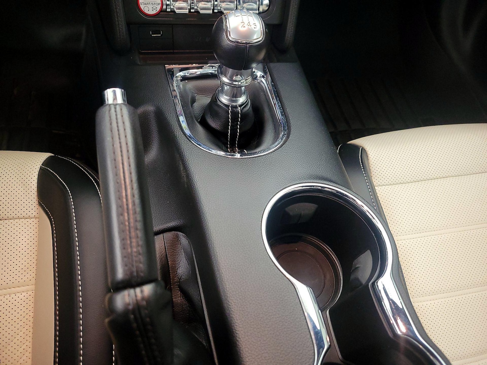 2015 Ford Mustang 50 Years Limited Edition - Photo 19