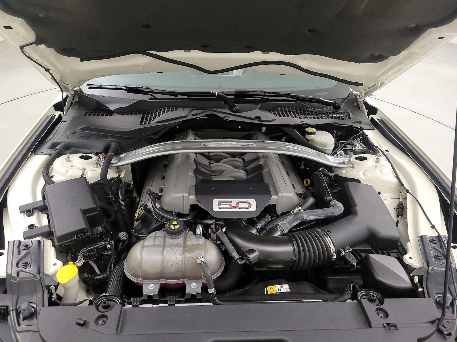 2015 Ford Mustang 50 Years Limited Edition - Photo 23