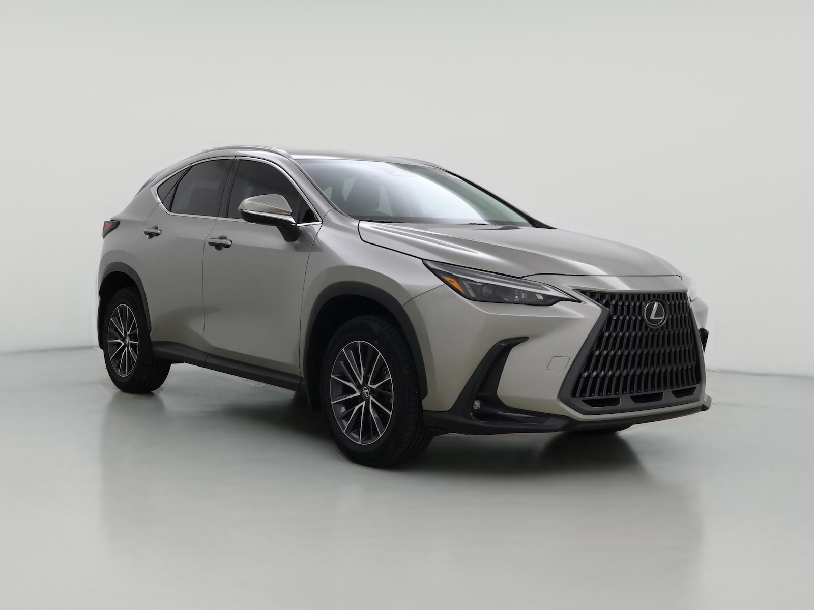 2024 Lexus NX