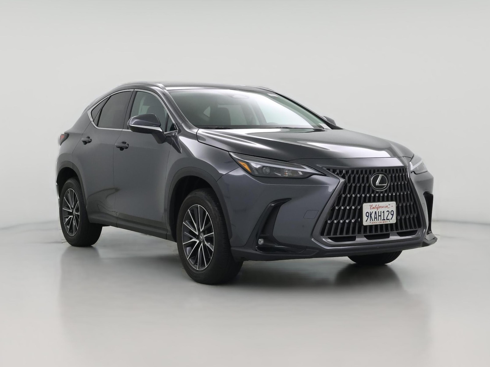 2024 Lexus NX