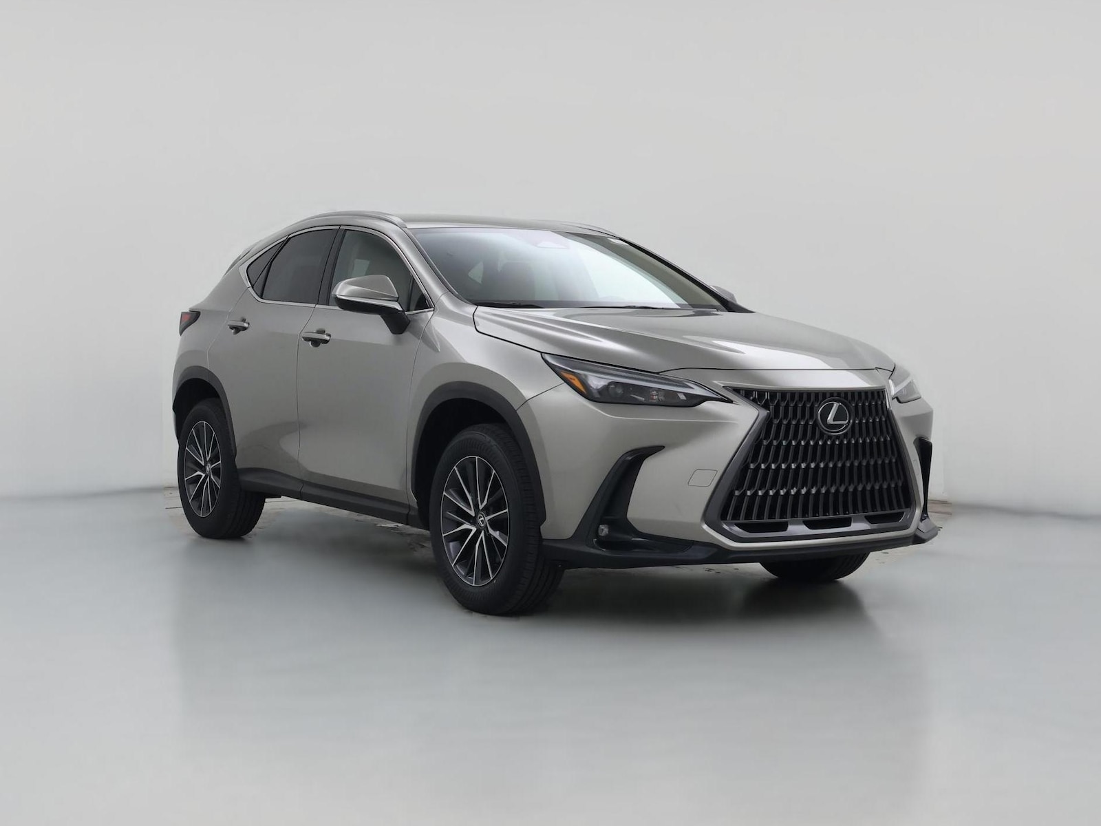 2024 Lexus NX
