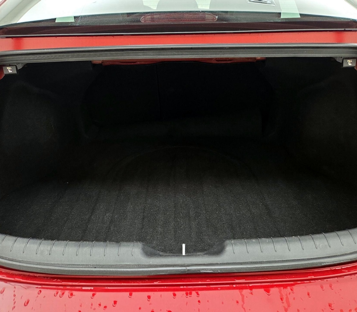 Trunk/Cargo (Seats Up)