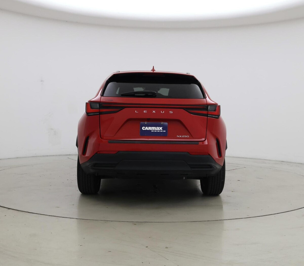 Rear