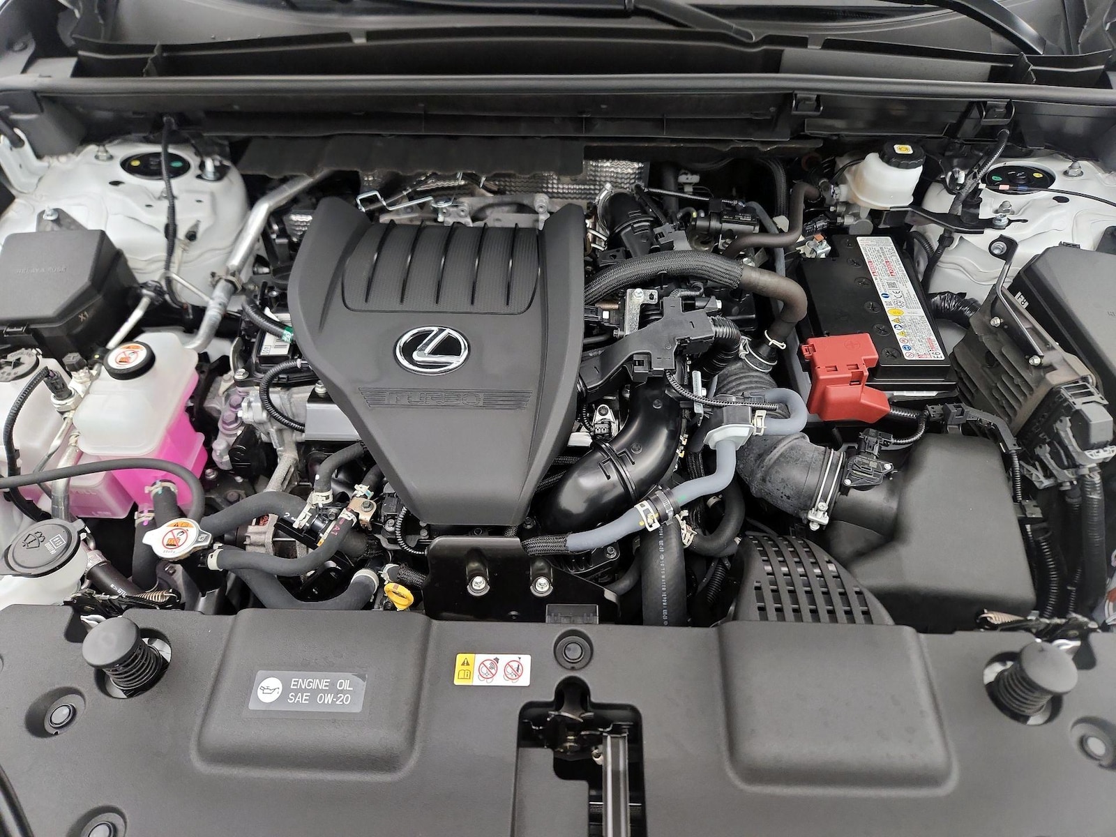 2025 Lexus NX 350 - Photo 23