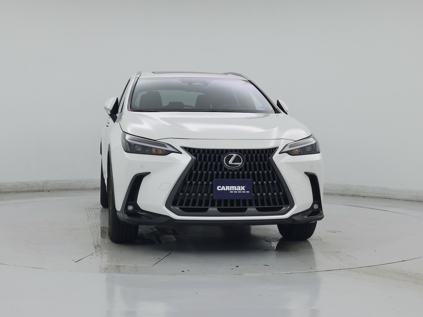 2025 Lexus NX 350 - Photo 6