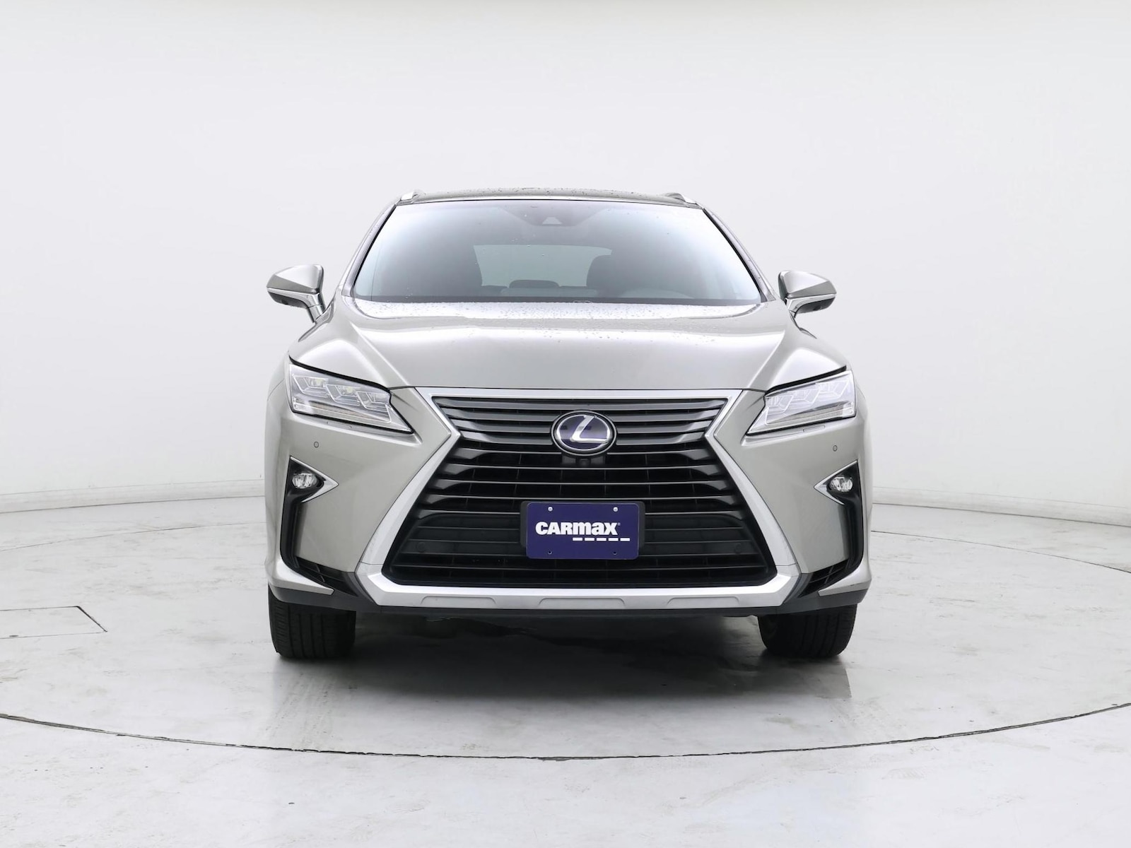 2019 Lexus RX Hybrid 450h - Photo 6
