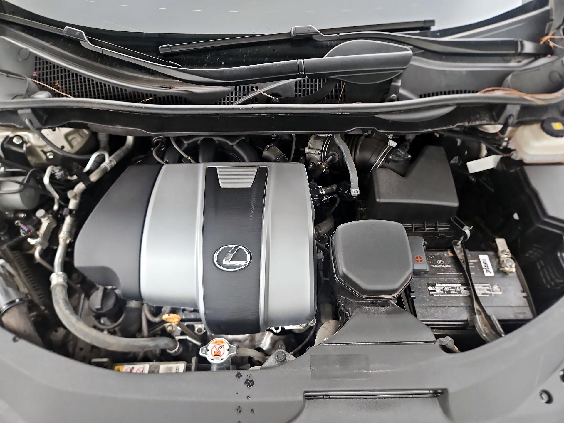 Thumbnail: 2019 Lexus RX - 19