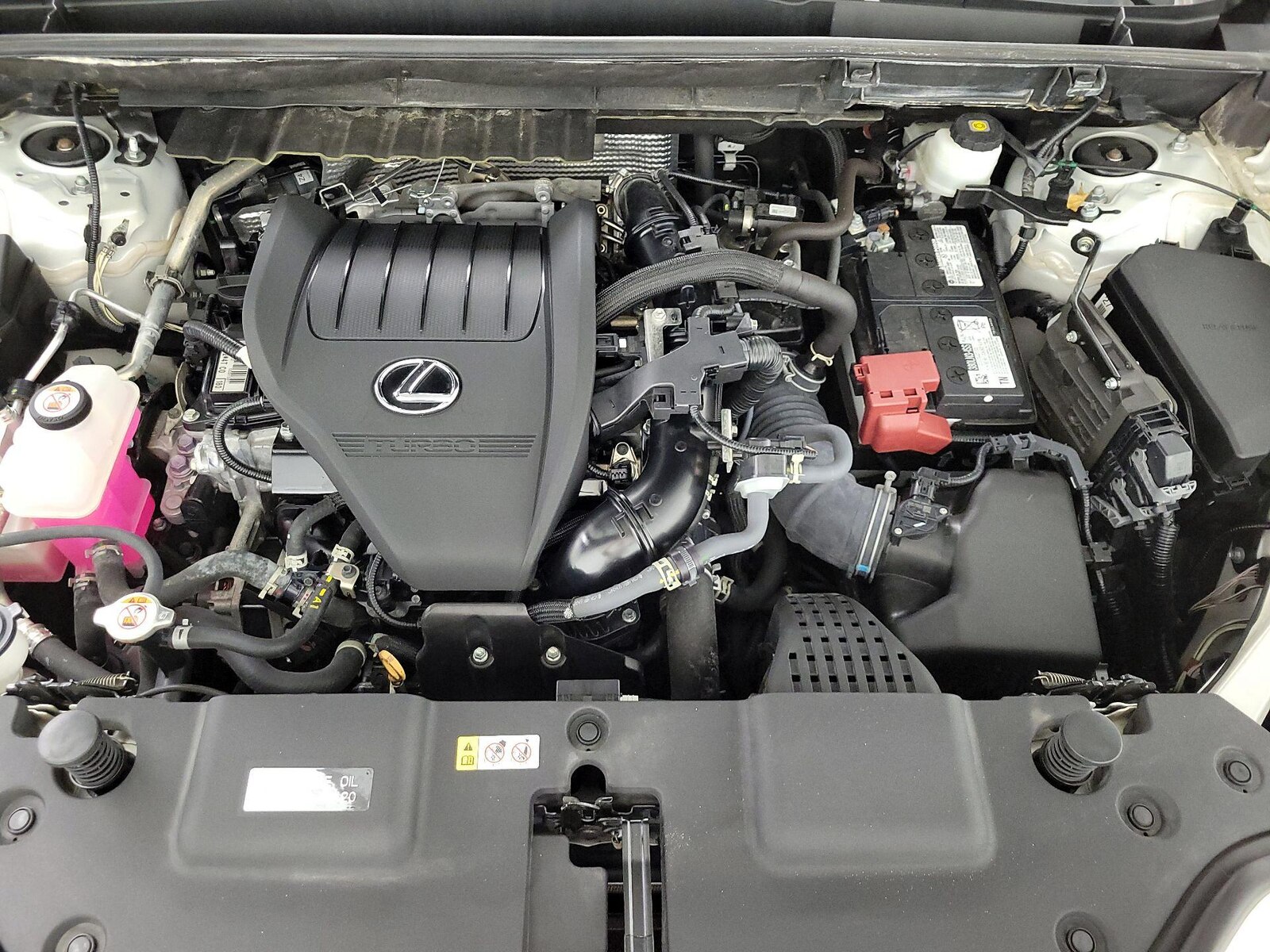2025 Lexus NX 350 - Photo 24