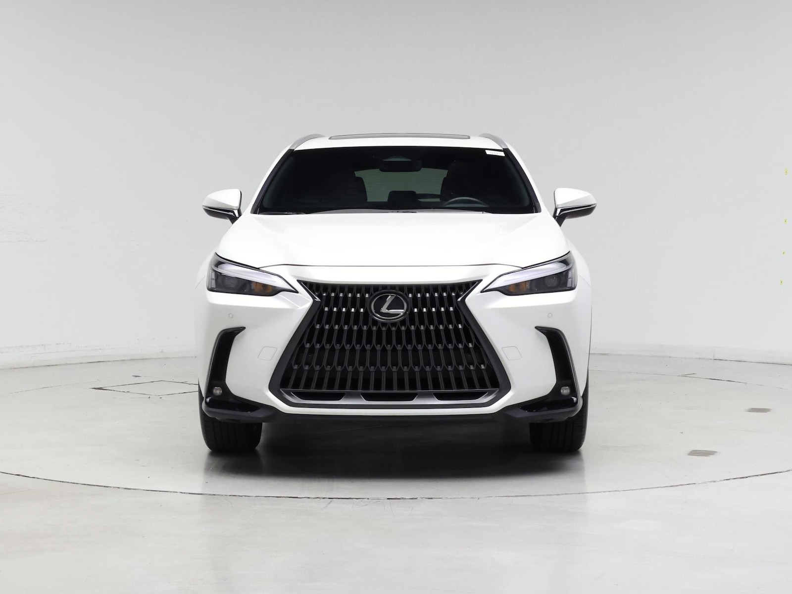 2025 Lexus NX 350 - Photo 6