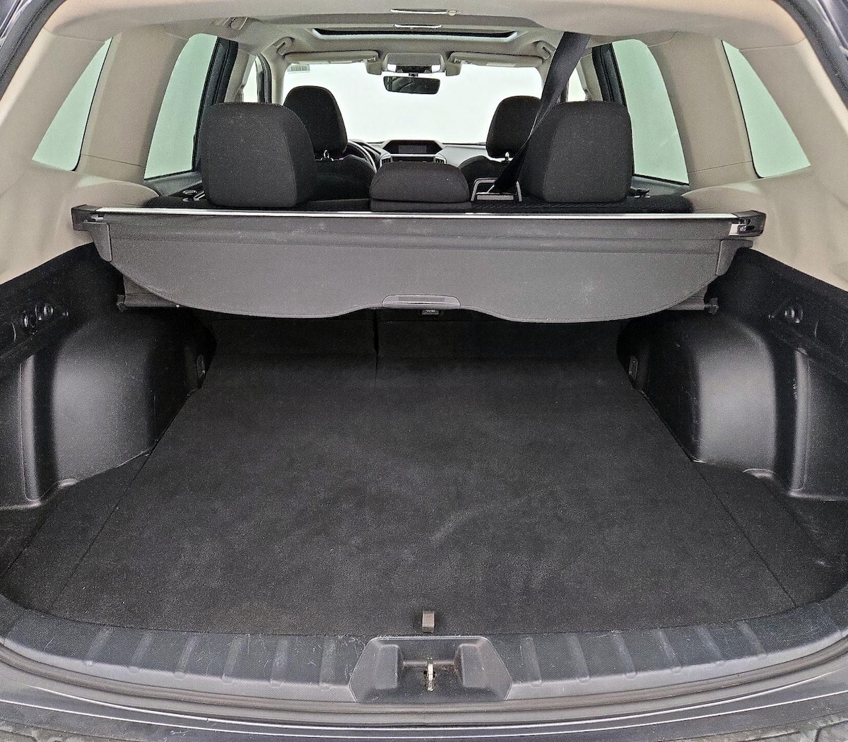 Trunk/Cargo (Seats Up)
