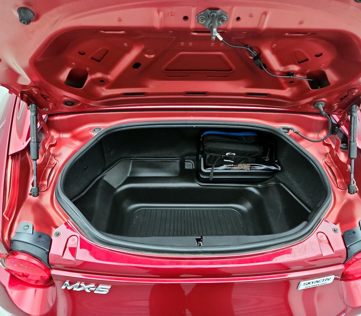 Trunk/Cargo (Seats Up)