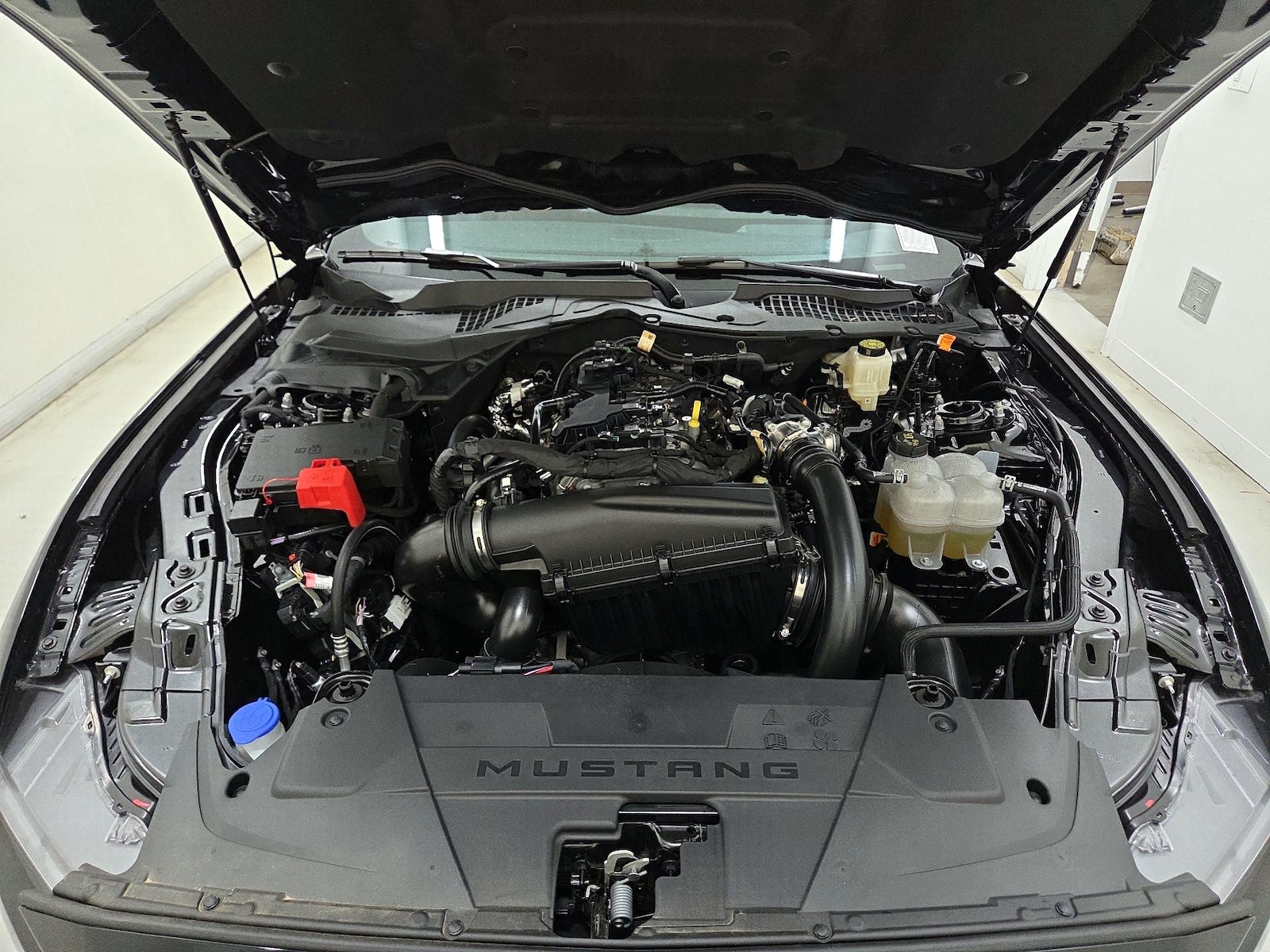 2025 Ford Mustang EcoBoost Premium - Photo 23