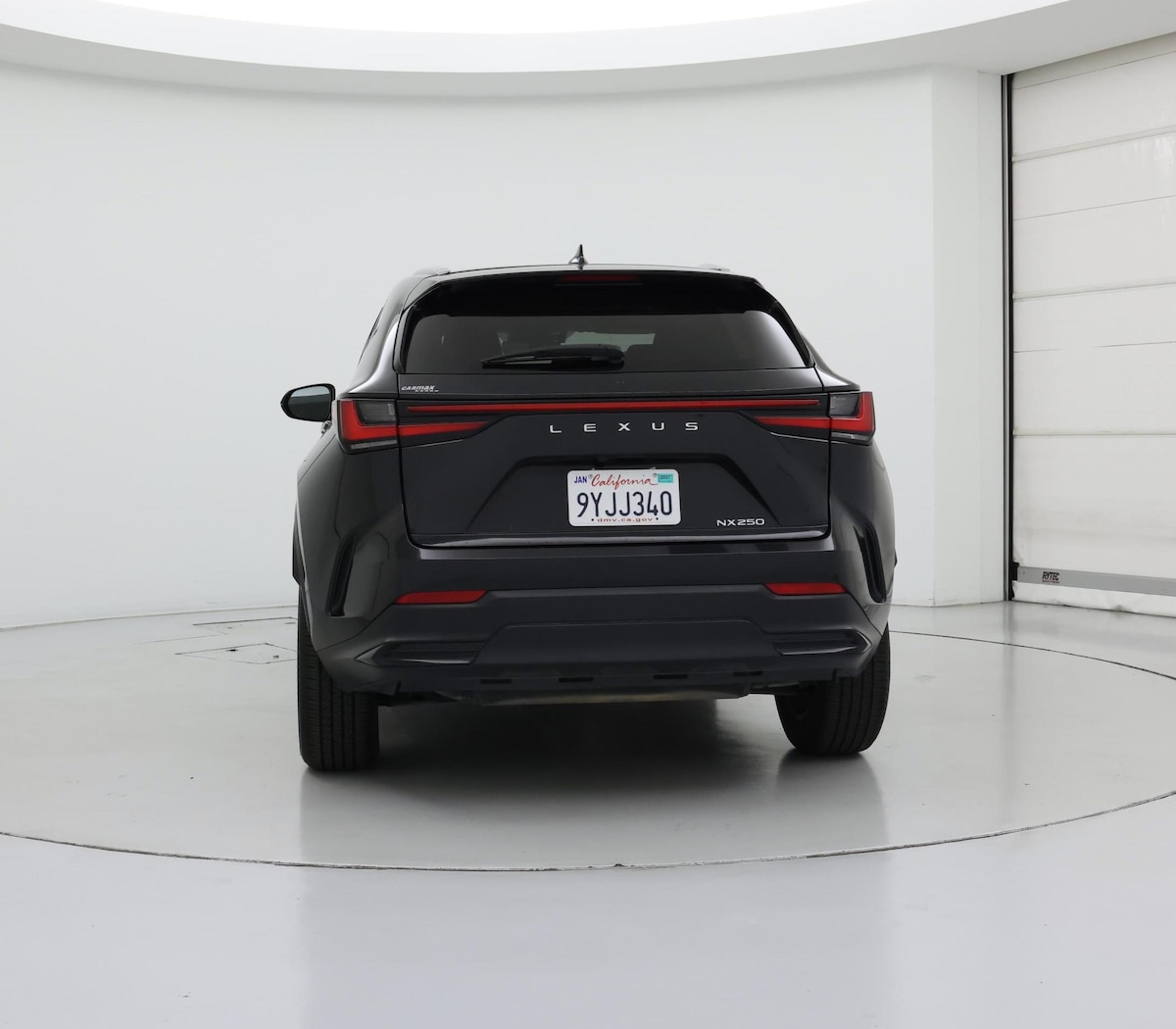 Rear