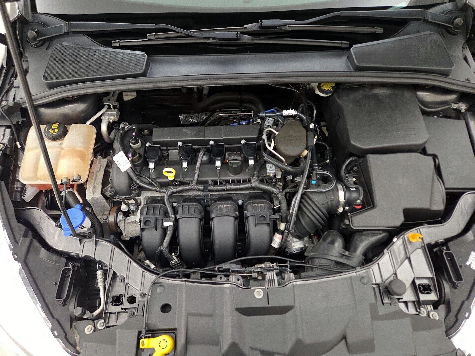 2016 Ford Focus SE - Photo 23
