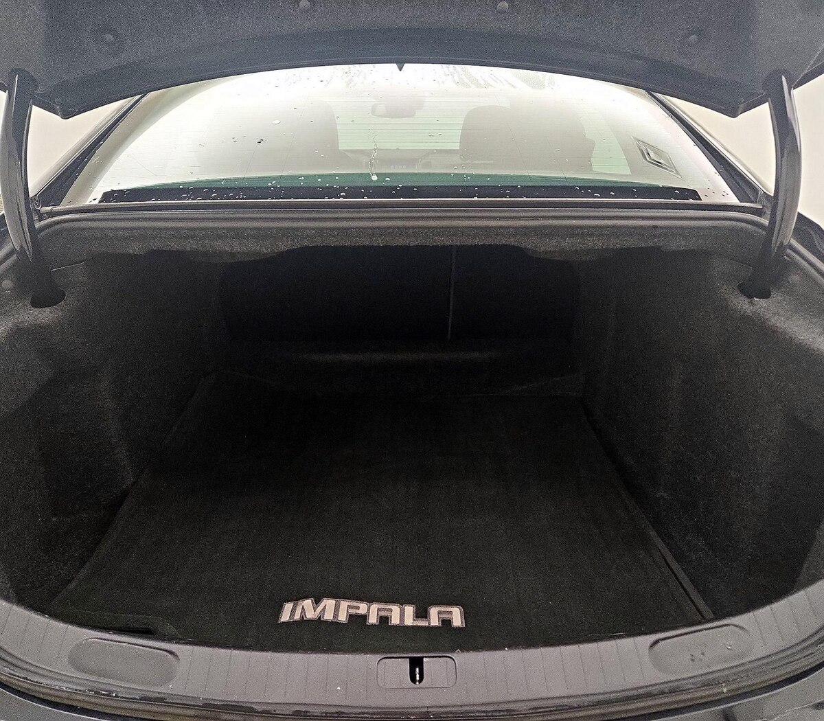 Trunk/Cargo (Seats Up)