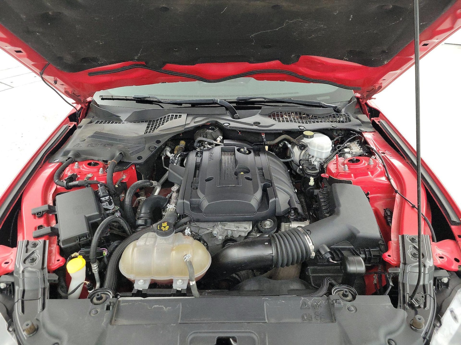 2019 Ford Mustang EcoBoost - Photo 20