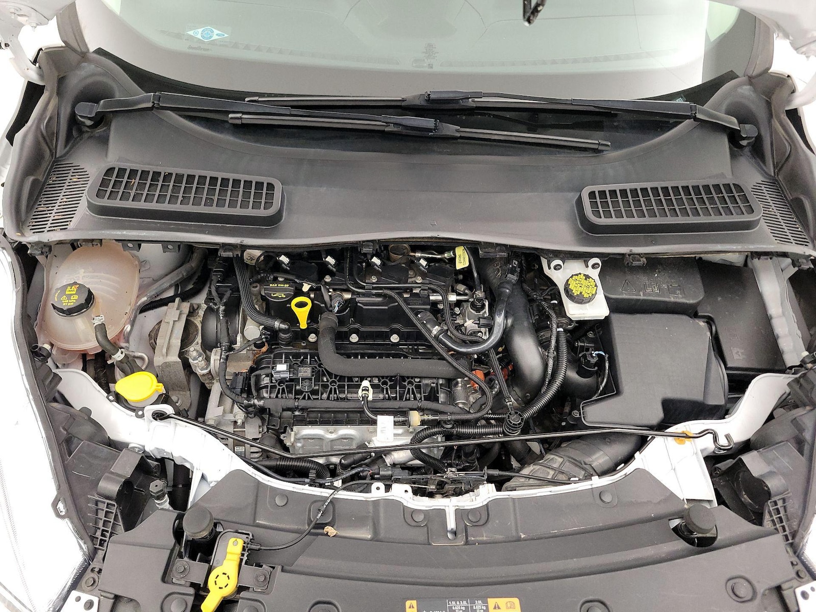 2019 Ford Escape SE - Photo 22