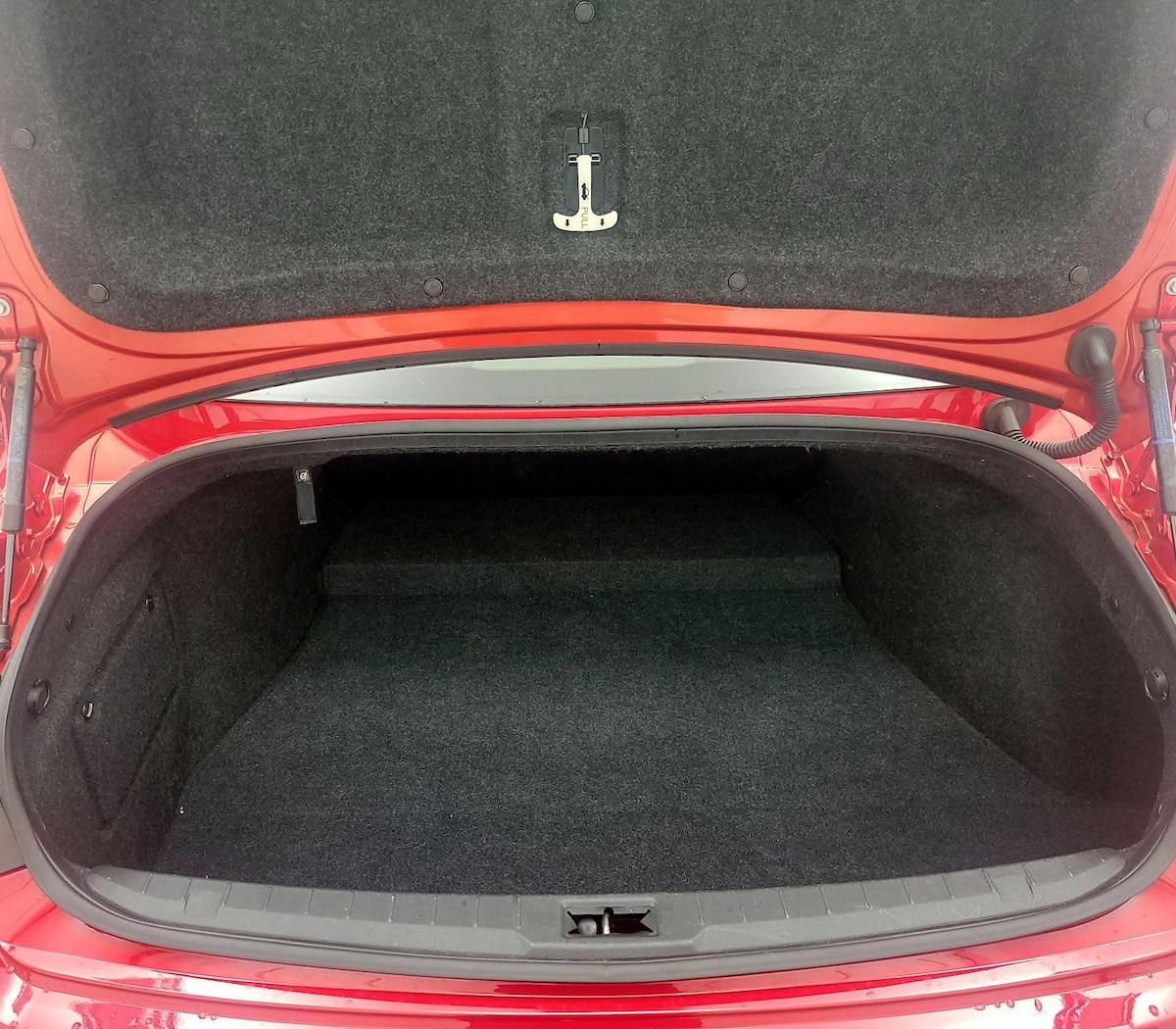 Trunk/Cargo (Seats Up)