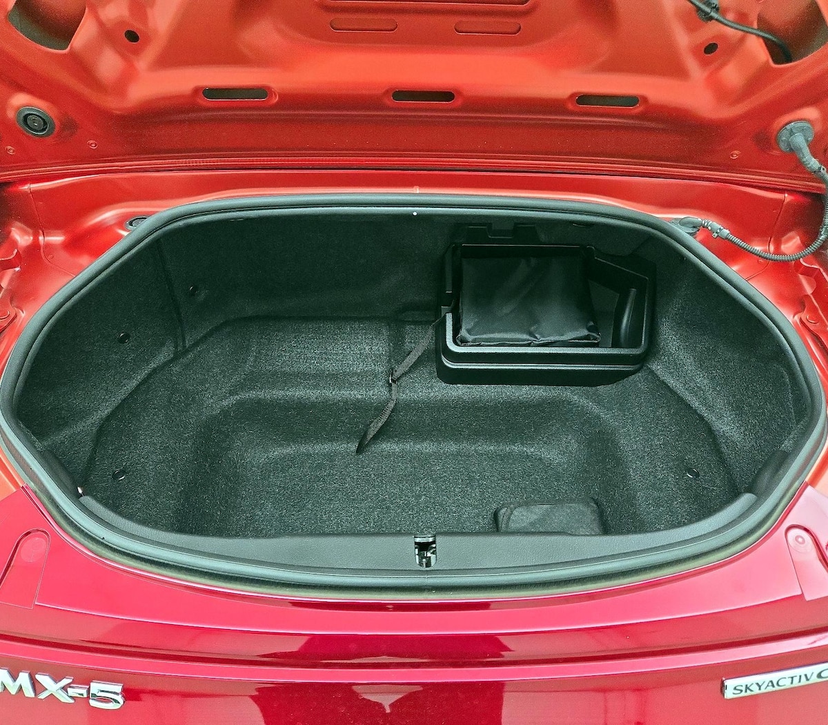 Trunk/Cargo (Seats Up)
