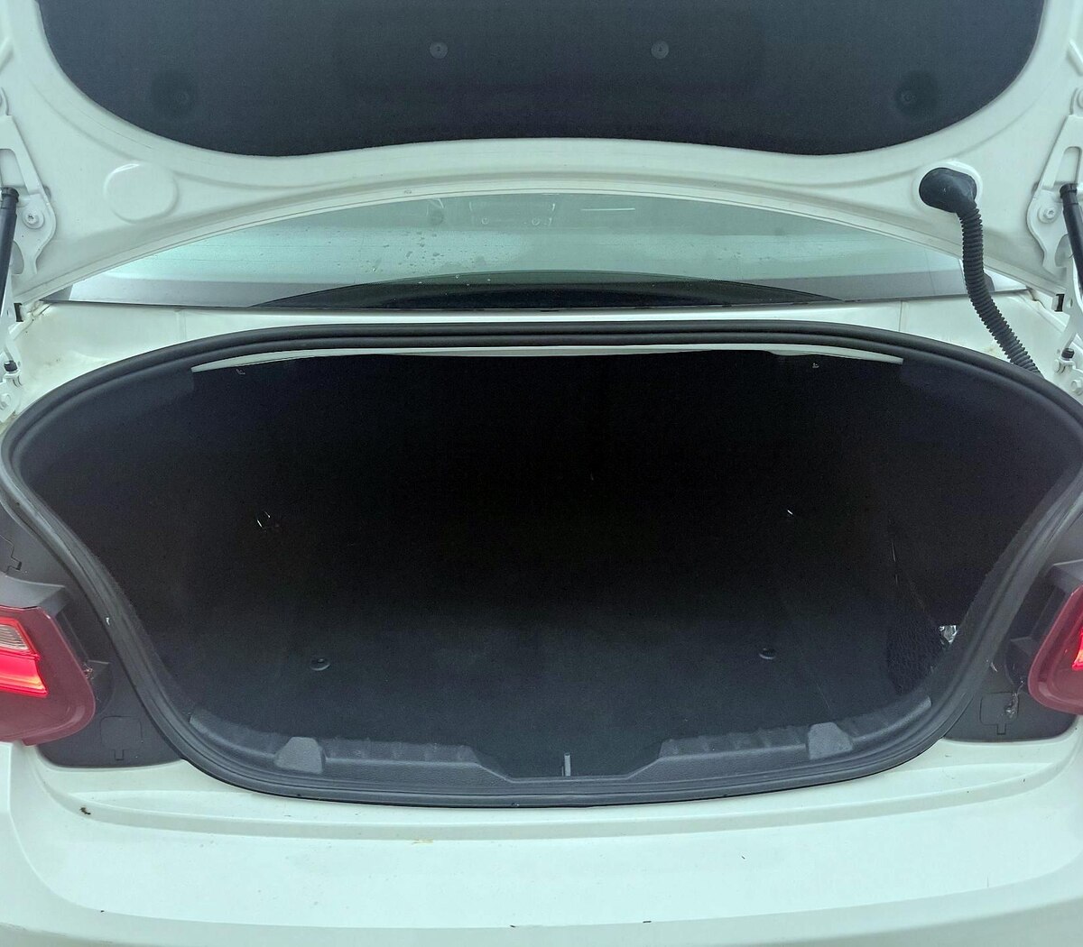 Trunk/Cargo (Seats Up)