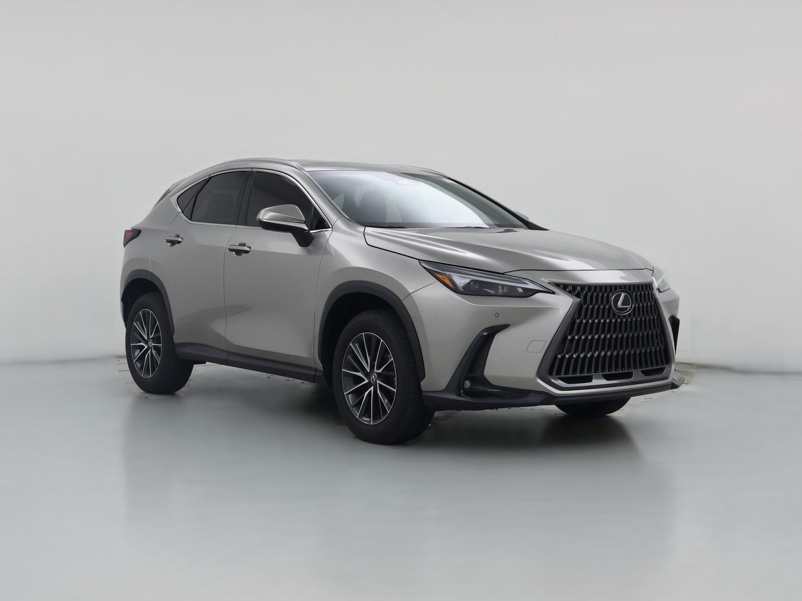 2024 Lexus NX