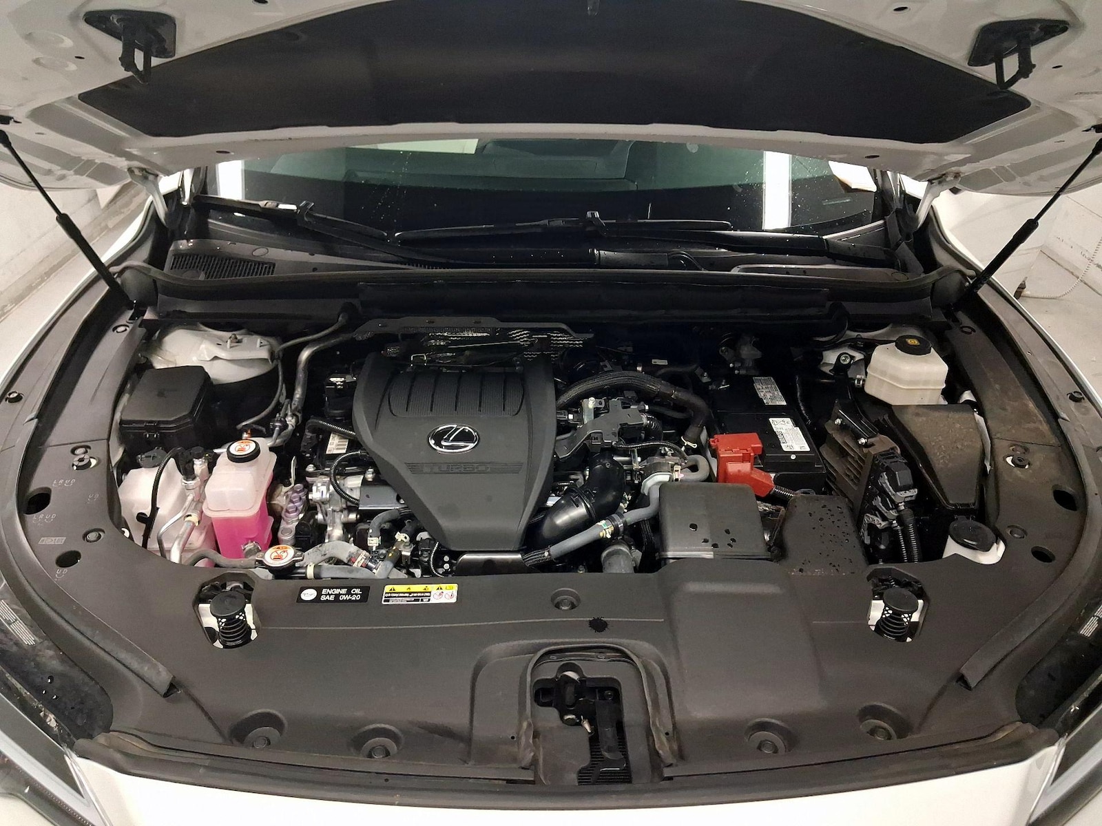2024 Lexus RX 350 - Photo 23