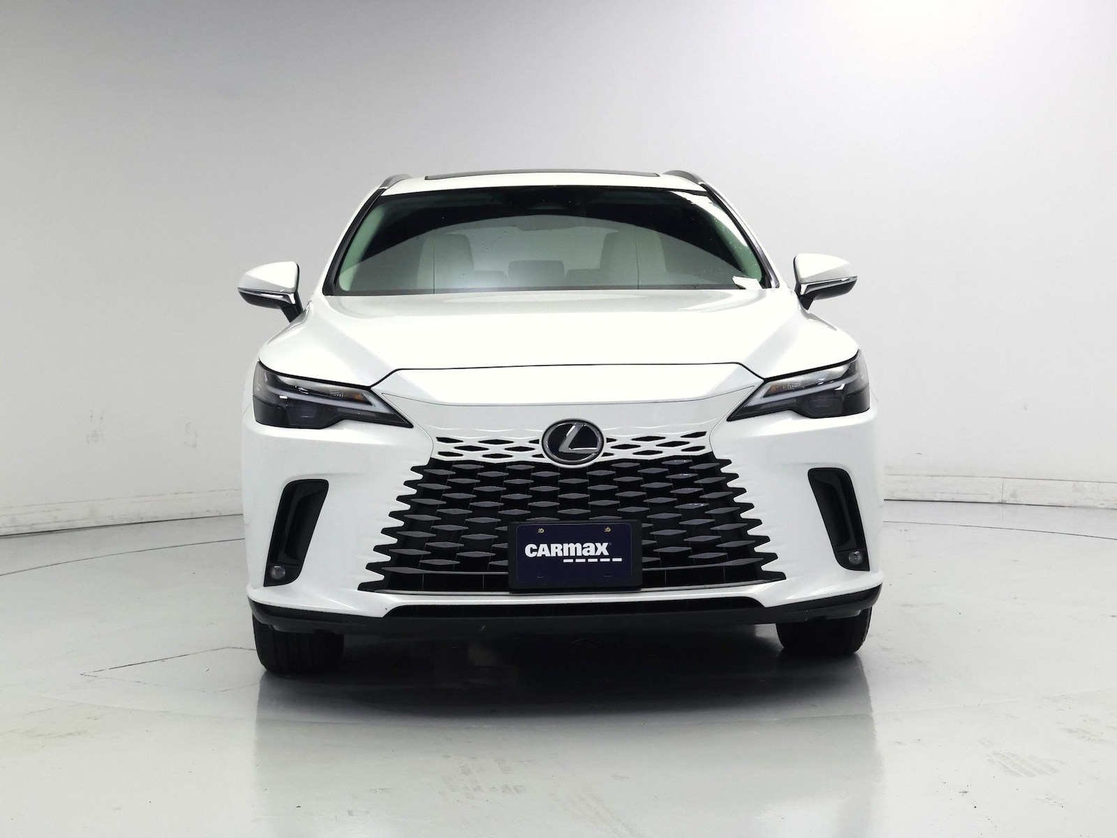 2024 Lexus RX 350 - Photo 6