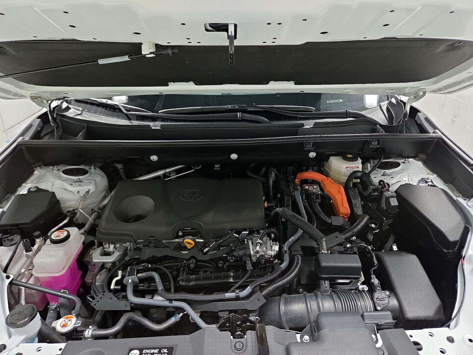 2025 Toyota RAV4 XLE - Photo 18