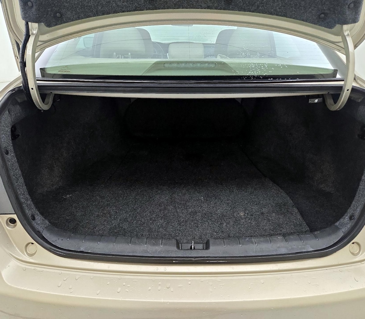Trunk/Cargo (Seats Up)