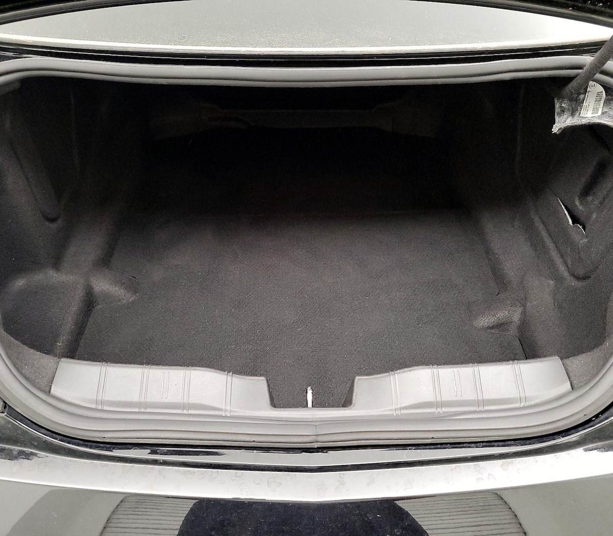 Trunk/Cargo (Seats Up)